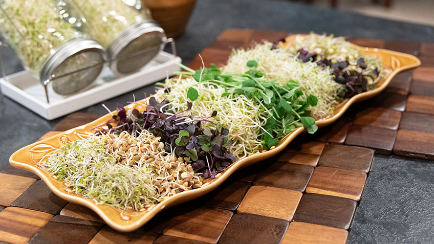 Lentil Sprouts, Red Clover, Fenugreek & Mung Bean – 3ABN Recipes
